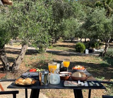 Archanes House | The Olive Grove Villas with large swimming pool