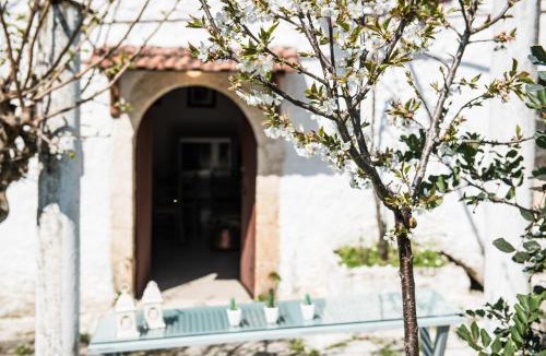 Alikambos House | Traditional House