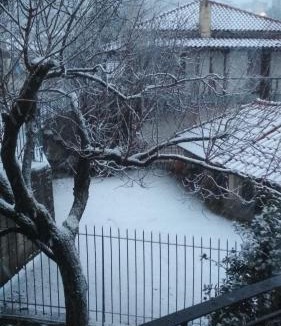 Anavriti Apartment | Traditional House in village Anavryti