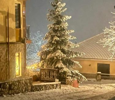 Elatochori Hotel | Vaela Hotel Cultural Resort
