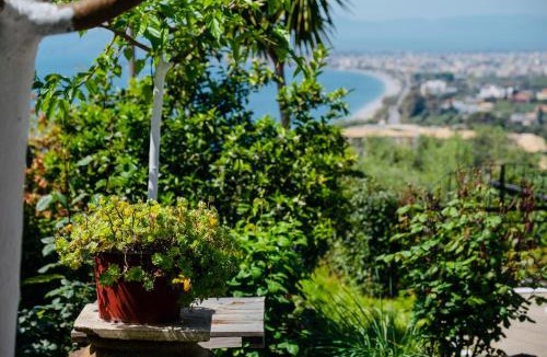 Diasella Apartment | Vasiliki Guest House