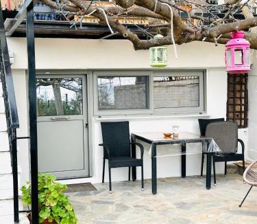 Diasella Apartment | Vasiliki Guest House