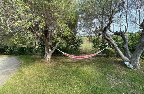 Nea Propontida House | VILA KALIMERA private pool