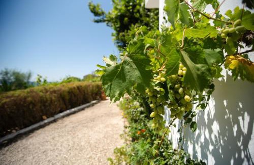 Gardenos House | Villa Anneta