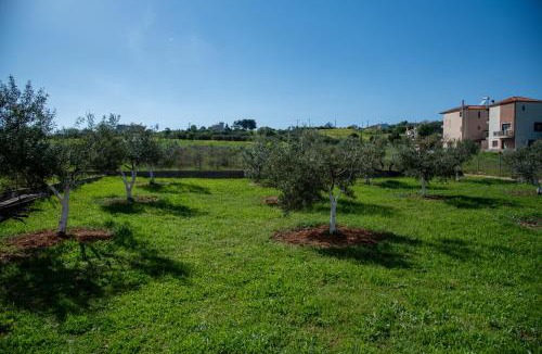 Alexandroupoli Apartment | Villa Olivo