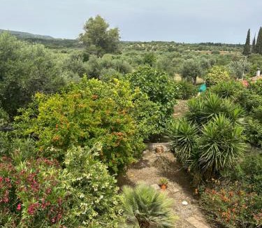 Messini Apartment | Villa Pelops Petalidi