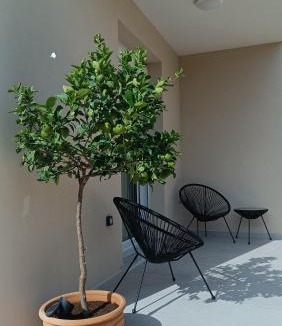 Kalyves Villa | Villa Terra Nuova