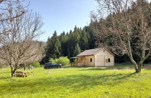 Vlacherna Ski Chalet | Wood Cabin by the River - for Nature Lovers