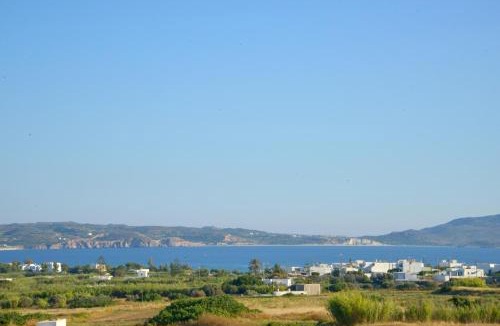 Adamas Apartment | Zeras Apartments