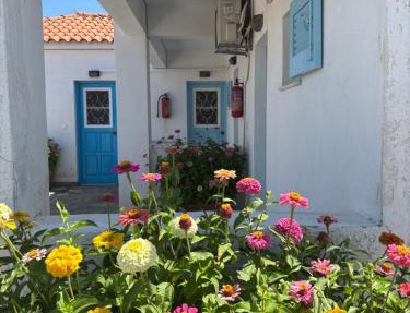Anthemis Studios