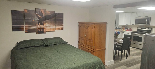 Attractive Lower Level Guest Suite with Private Entrance