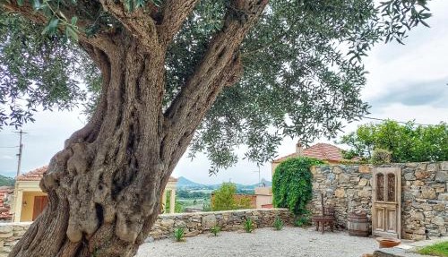 Calma Estate