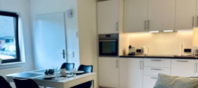 Comfortable, newly renovated and furnished 2-room apartment