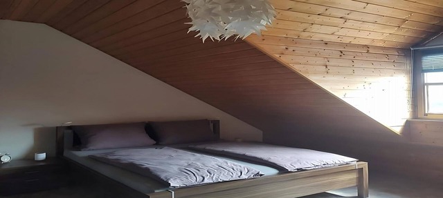 Forest and panoramic view apartment - 65m2 (Thanstein)