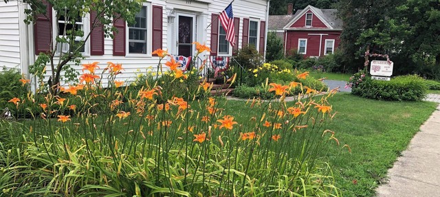 Mulberry Bed & Breakfast