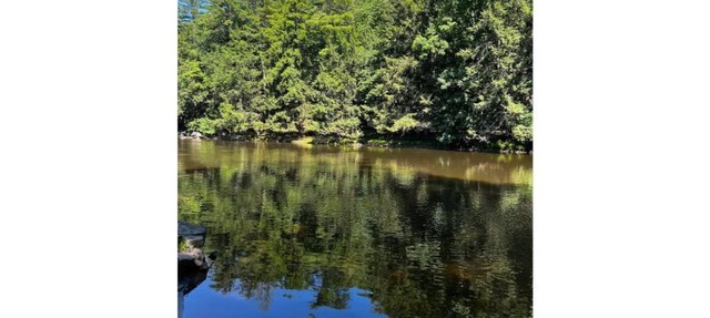 ⭐️Pristine river front property, swim, kayak + fish. ⭐️ 90 mins away from NYC