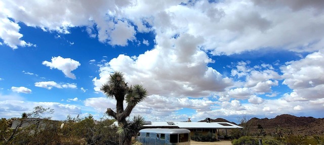 Stephs Panorama Paradise:7.5 acres of wildlife viewing peace. Minutes from Park