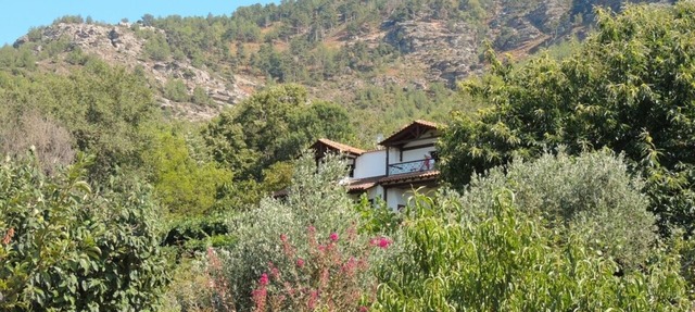 Studio with Amazing Mountain Views in Traditional Thassian Estate !