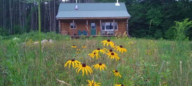 The Last Frontier Cabin