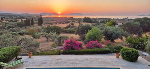 Villa Oliva