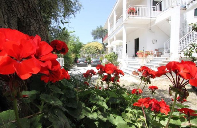 Angeliki Studio and Apartment