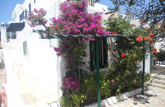 Charming House in Platy Gialos Mykonos