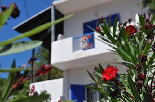 Therma Apartment | 16 m² Serviced apartment ∙ 3 guests