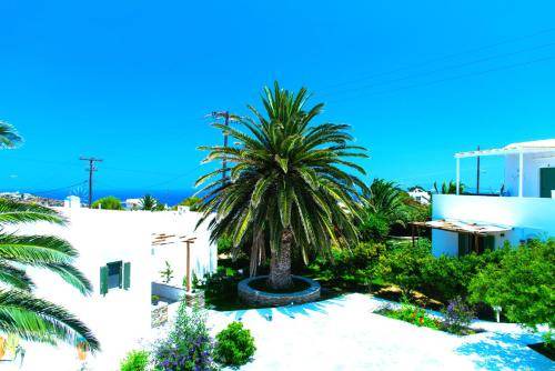 Apollonia Apartment | 22 m² Apartment ∙ 2 guests