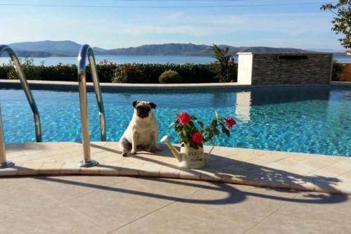 Loutsa Villa | 260 m² Villa ∙ 3 bedrooms ∙ 7 guests