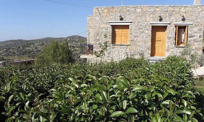 Mesta House | 65 m² House ∙ 1 bedroom ∙ 2 guests