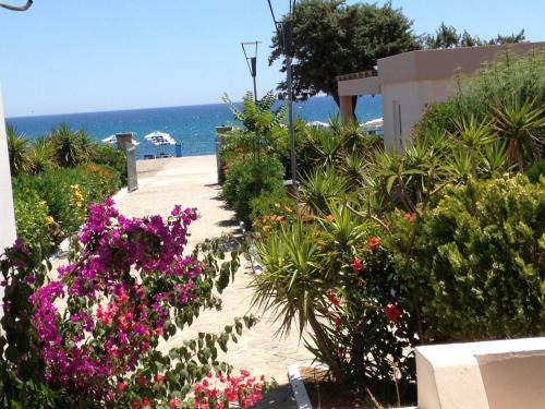 Lardos Apartment | Amaryllis Beach House