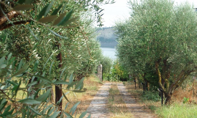 Pylos-Nestoras House | Elia apartment Holiday paradise next to the beach