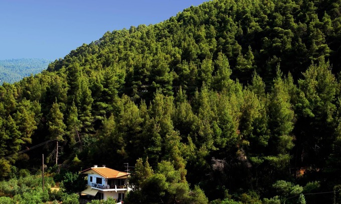 Sithonia Apartment | Idyllic located holiday apartment at the sea, Wifi, Vourvourou, Chalkidiki-Sitho