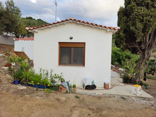 Glossa House | Kosmarana skopelos realty