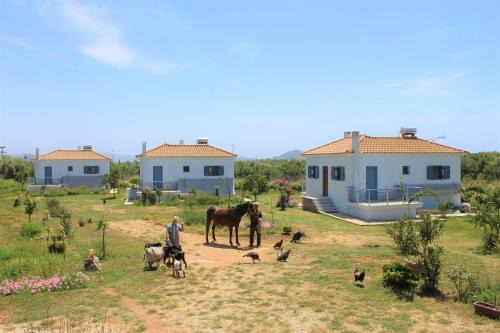 Pylos-Nestoras House | Stamna Farm