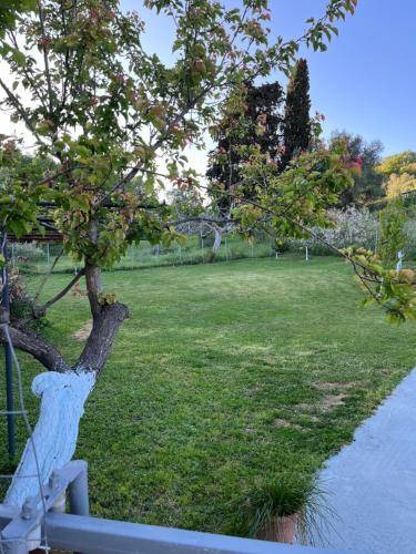Photo of Others in Preveza
