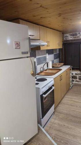 Photo of Kitchen in Agrafa