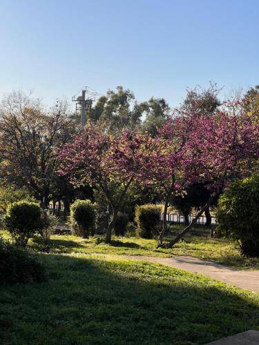 Photo of Outdoor in Kaisariani