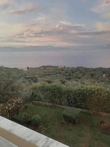 Photo of Others in Paralia Porovitsis