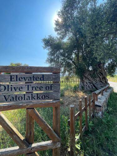 Photo of Others in Vatolakkos