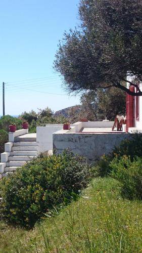 Photo of Others in Chrisopigi
