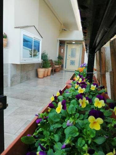 Photo of Others in Olymbiaki Akti