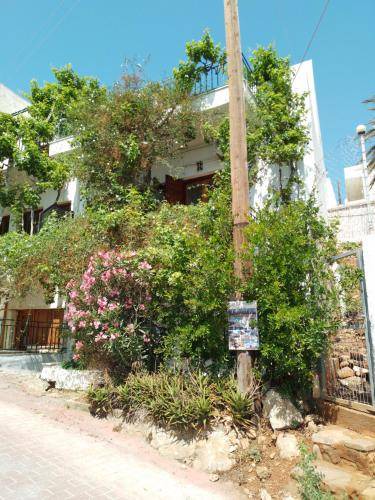 Photo of Others in Agia Galini