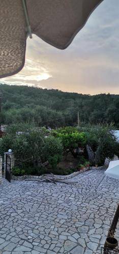Photo of Others in Gaios