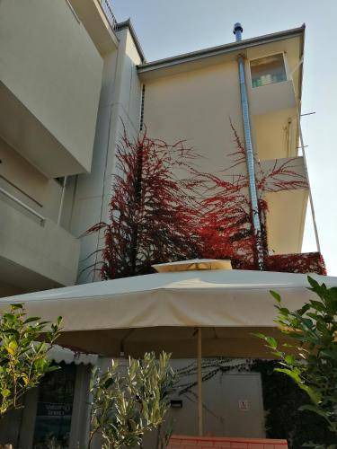 Photo of Others in Olymbiaki Akti