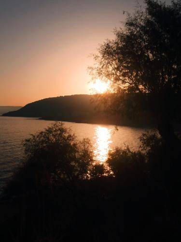 Photo of Others in Avgonima