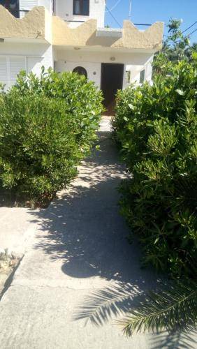 Photo of Others in Petaloudes