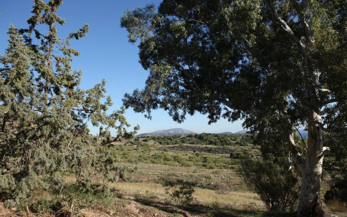 Photo of Others in Voula