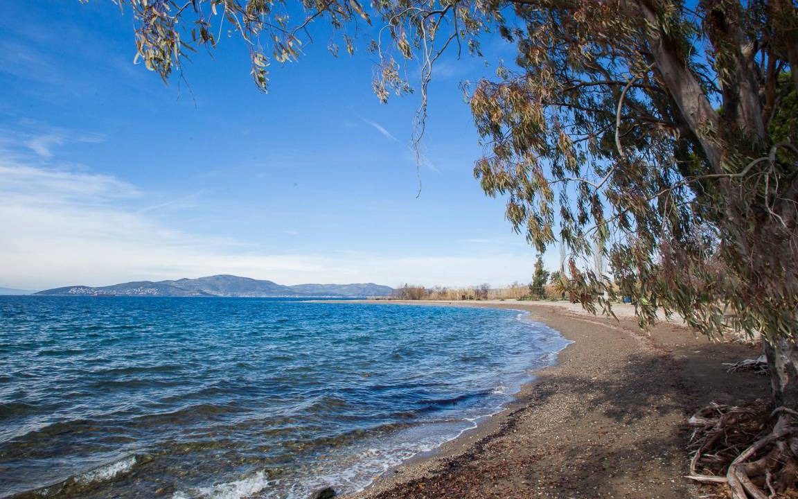 Photo of Others in Agria
