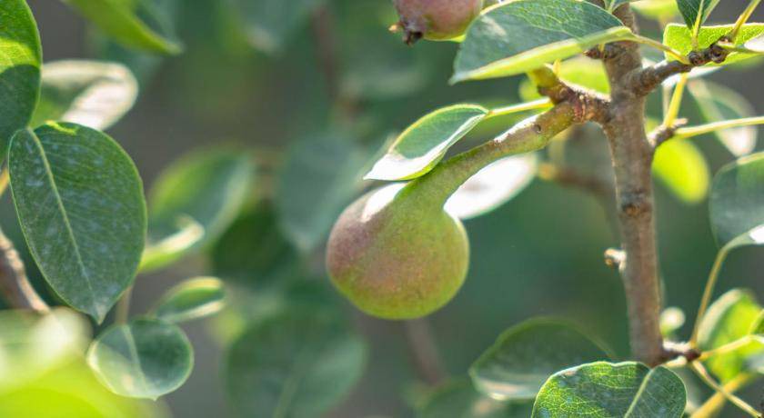 Photo of Others in Argassi